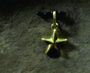 SD(PS)-19